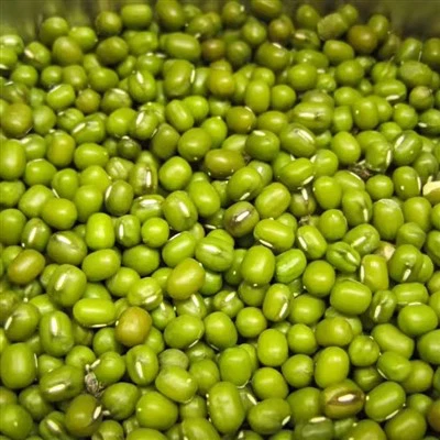 Mung fižol